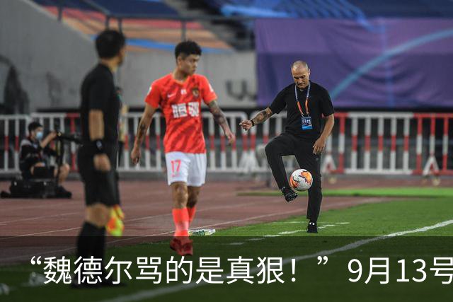 “魏德尔骂的是真狠！”9月13号，魏德尔在奥地利电视台放话：