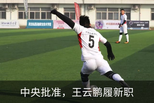 中央批准，王云鹏履新职