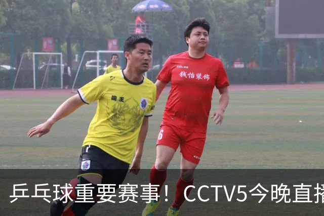 乒乓球重要赛事！CCTV5今晚直播，王曼昱决战佐藤瞳