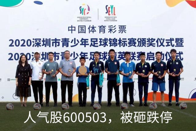 人气股600503，被砸跌停