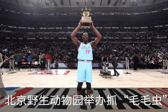 北京野生动物园举办抓“毛毛虫”大赛，两天抓了21斤、7万条