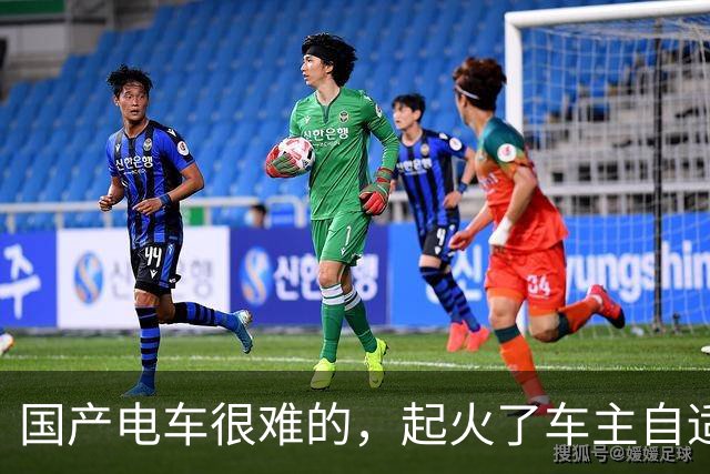 国产电车很难的，起火了车主自适应一下