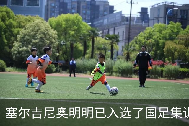 塞尔吉尼奥明明已入选了国足集训名单，为何却迟迟没现身入队训练