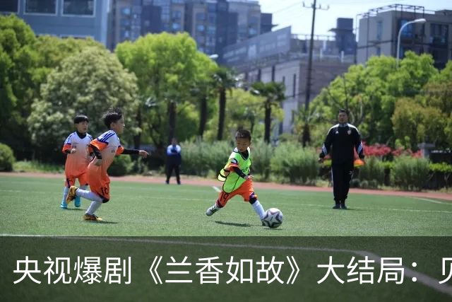 央视爆剧《兰香如故》大结局：见过世面的女人，选男人的时候是非常势利的；见过世面的男人，选女人的时候是非常清醒的