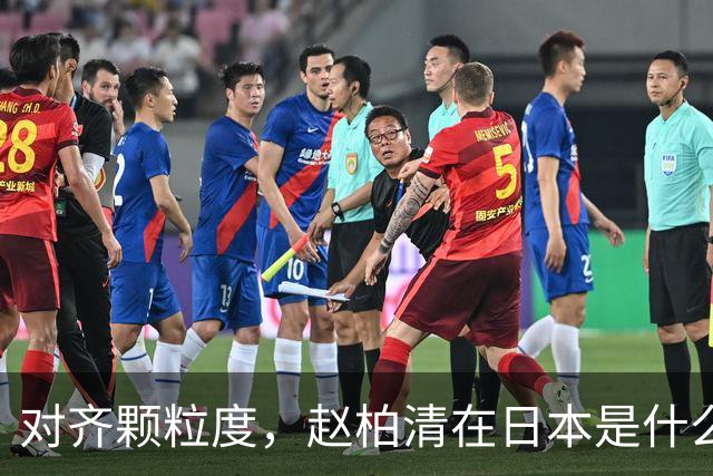 对齐颗粒度，赵柏清在日本是什么水平？