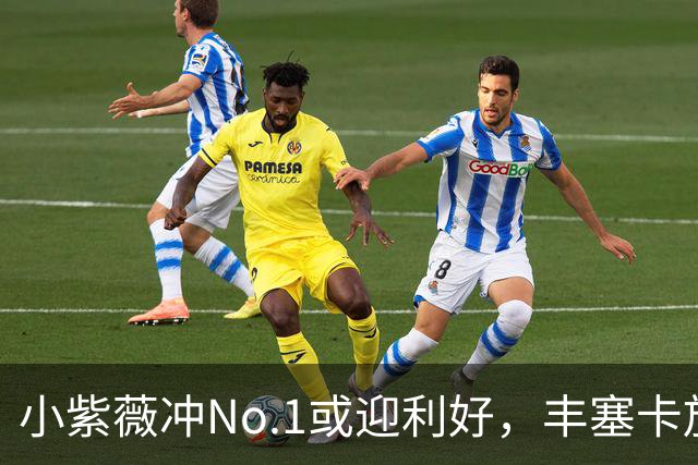 小紫薇冲No.1或迎利好，丰塞卡放弃亚洲赛季，三对金花组合皆奏凯