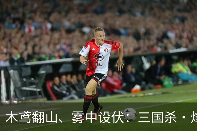 木鸢翻山、雾中设伏：三国杀·烽烟策首测把沙盘玩活了