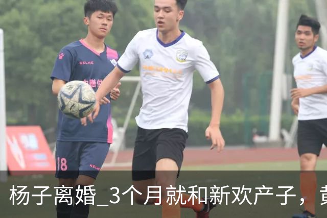 杨子离婚 3个月就和新欢产子，黄圣依17年青春喂了狗，体面尽失