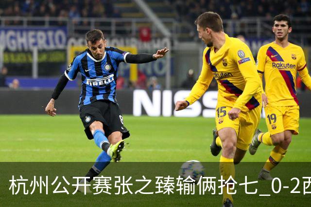 杭州公开赛张之臻输俩抢七 0-2西里奇收获亚军