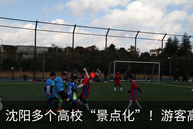 沈阳多个高校“景点化”！游客高兴，学生却懵了...