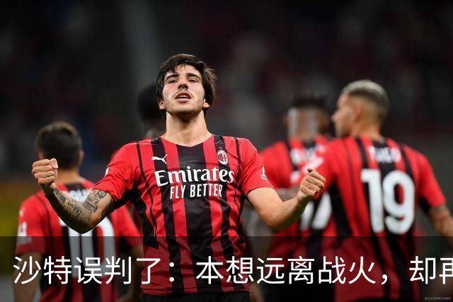 沙特误判了：本想远离战火，却再次陷入也门泥潭
