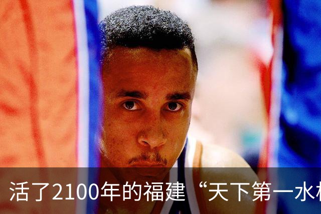 活了2100年的福建“天下第一水松”正濒临死亡？当地：这几年一直在救