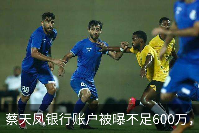 蔡天凤银行账户被曝不足600万，房产已抵押，蔡母称亲家给了三亿
