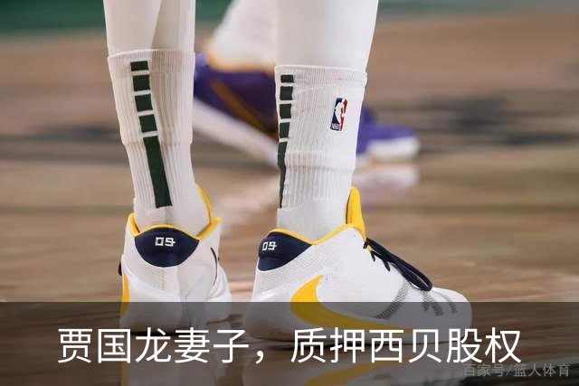 贾国龙妻子，质押西贝股权