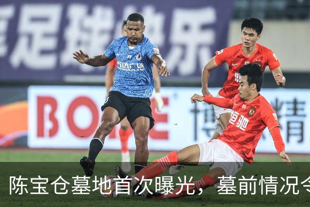 陈宝仓墓地首次曝光，墓前情况令人意外，与吴石、朱枫墓截然不同！