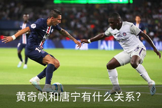 黄奇帆和唐宁有什么关系？