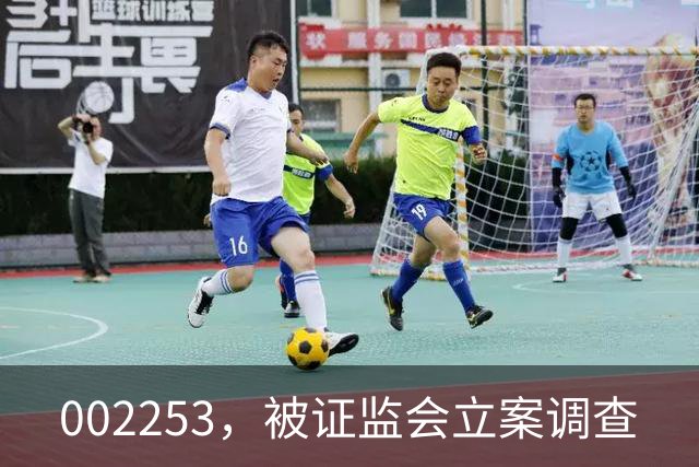 002253，被证监会立案调查
