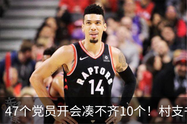 47个党员开会凑不齐10个！村支书坦言：不是人心散了，是人太分散