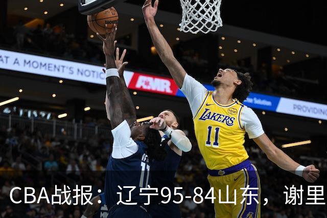 CBA战报：辽宁95-84山东，谢里夫-库珀22+5+8
