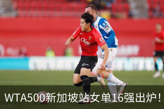 WTA500新加坡站女单16强出炉！种子剩6人！维基奇被王欣瑜淘汰出局